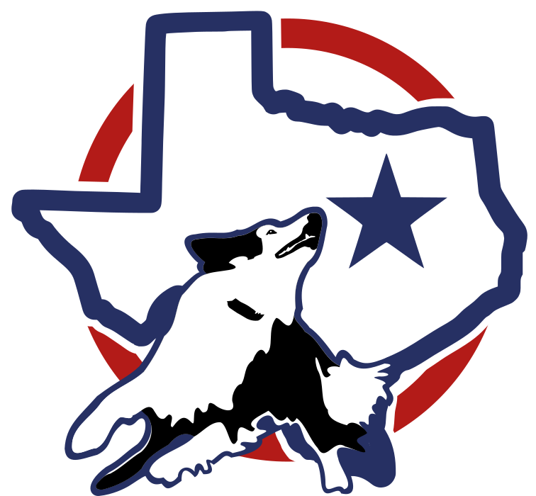 Disc Dog Texas State Championship-Fairfield